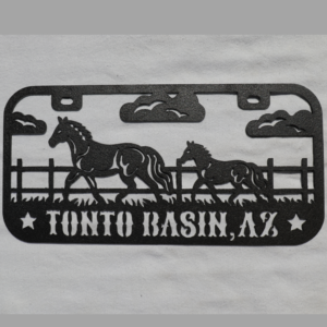 Tonto Basin Lic Plate