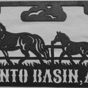 Tonto Basin Lic Plate